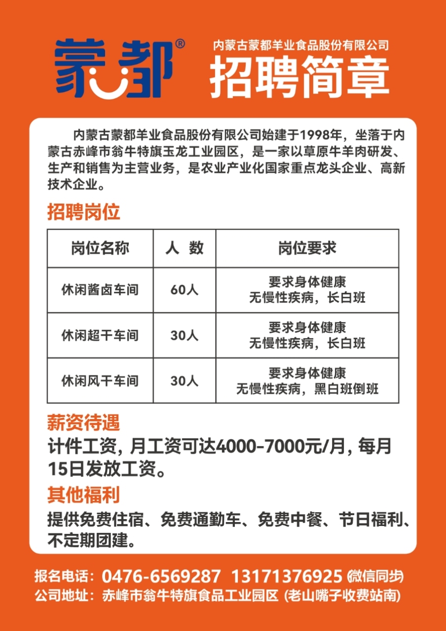 肇东最新招聘网，连接人才与机遇的桥梁