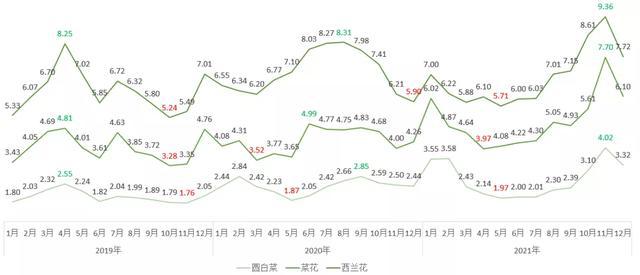 洋白菜价格最新行情分析