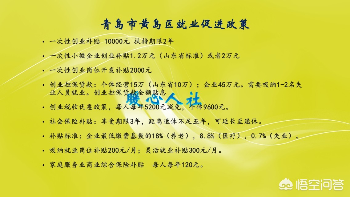 南京市4050政策最新动态，深度解读与未来展望