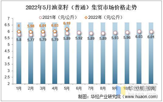 最新油菜籽价格动态及其对市场的深远影响