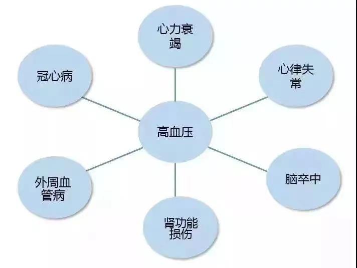 高血压最新指南，理解、预防与管理的全面指南