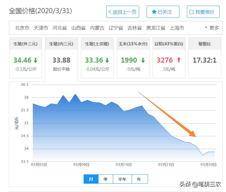 今日生猪价格最新走势分析