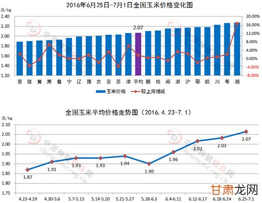 宁夏玉米价格最新行情分析