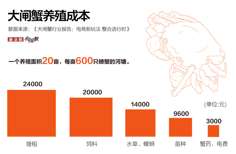 螃蟹最新价格，市场走势与影响因素分析