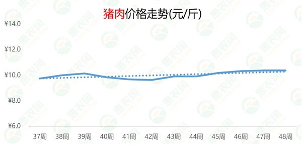 猪肉最新价格动态分析