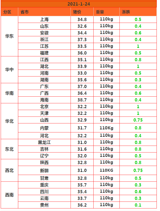 山东玉米今日最新价格动态分析